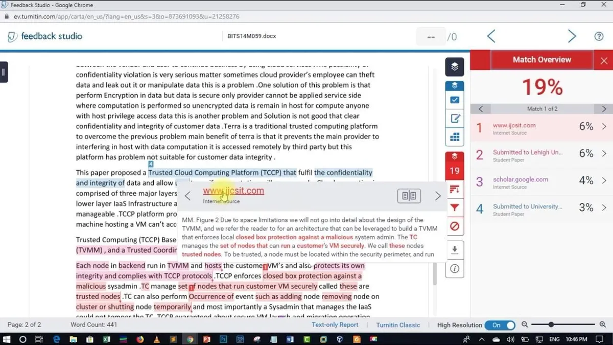 Plagiarism report
