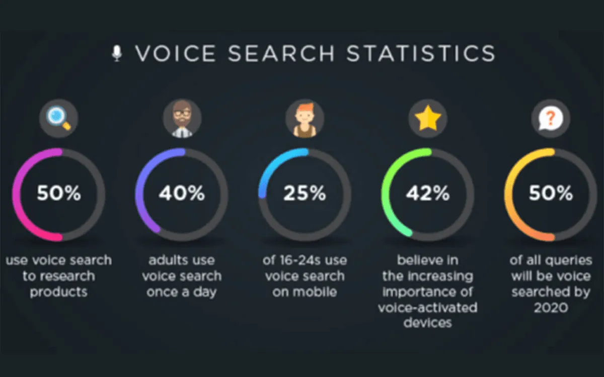 Voice Search Statistics .png